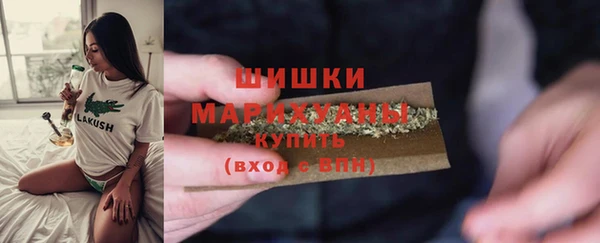 винт Богданович