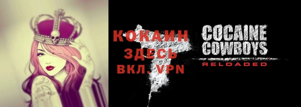 винт Богданович