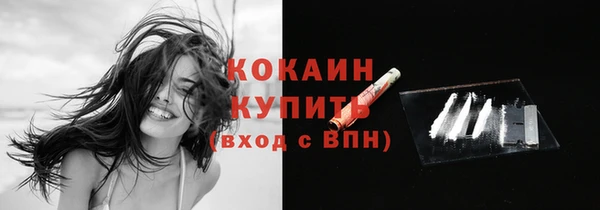 винт Богданович